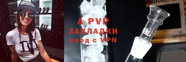 герыч Бородино