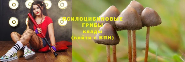 мдпв Богданович