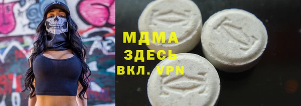 индика Бронницы