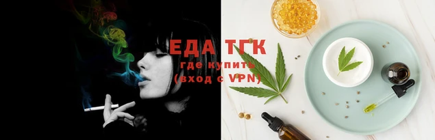 индика Бронницы