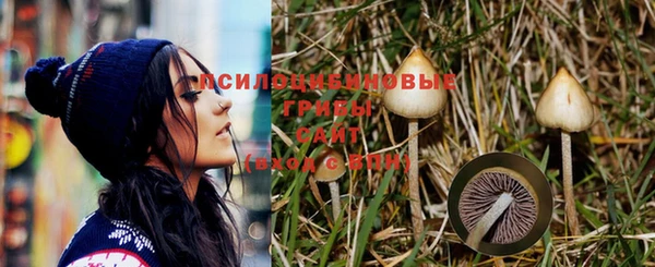 индика Бронницы