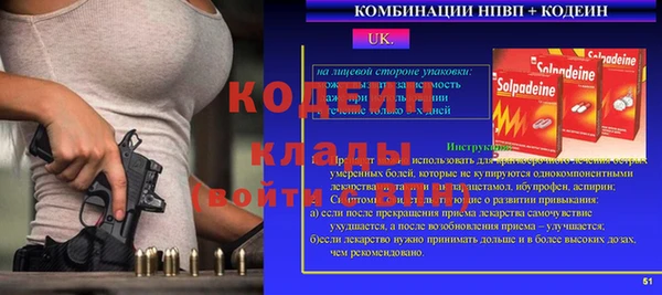 индика Бронницы