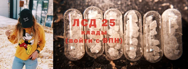 индика Бронницы
