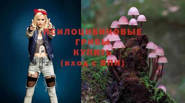 герыч Бородино