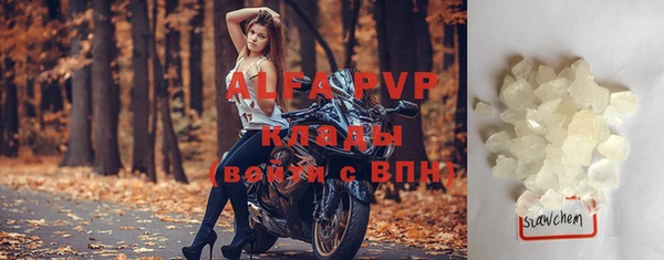 индика Бронницы