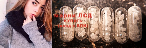 индика Бронницы
