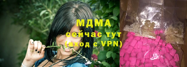 индика Бронницы
