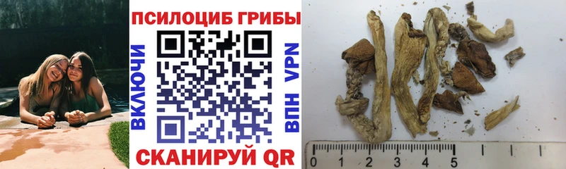 Галлюциногенные грибы прущие грибы  Дигора 
