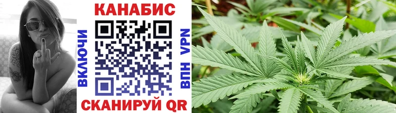 Канабис план omg ССЫЛКА Дигора